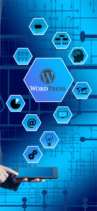 WordPress Prime Promo Web Design Agency